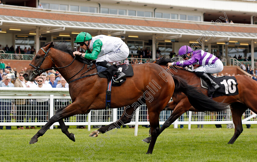 Alotaibi-0004 
 ALOTAIBI (Jack Mitchell) wins The BetVictor Maiden Stakes Div2
Newbury 13 Aug 2021 - Pic Steven Cargill / Racingfotos.com