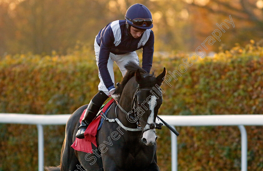 Engineer-0001 
 ENGINEER (Rossa Ryan)
Kempton 15 Nov 2023 - Pic Steven Cargill / Racingfotos.com