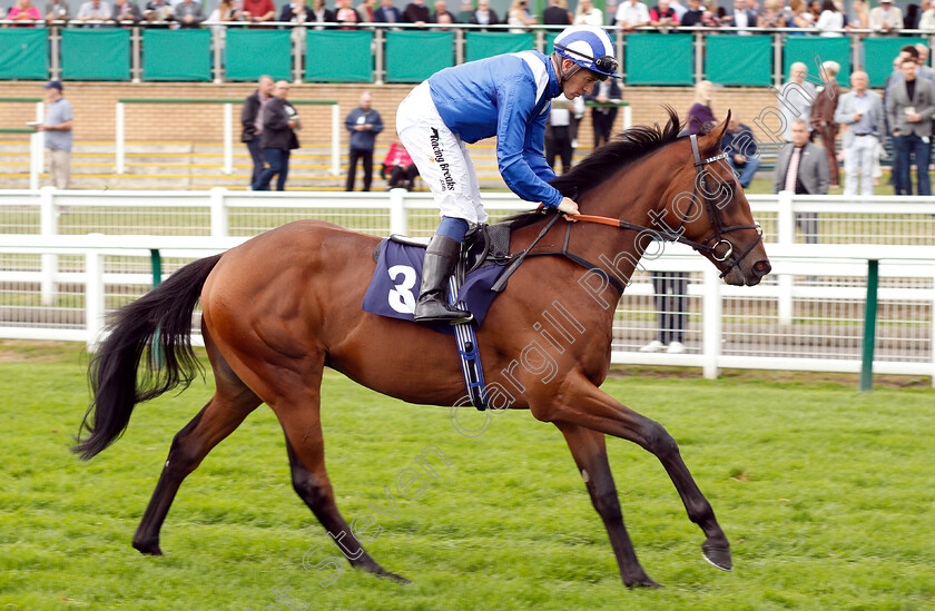 Akwaan-0001 
 AKWAAN (Jim Crowley)
Yarmouth 20 Sep 2018 - Pic Steven Cargill / Racingfotos.com