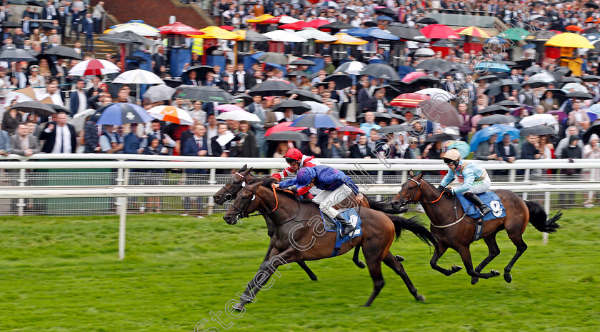 Migration-0002 
 MIGRATION (William Buick) wins The Sky Bet Handicap
York 21 Aug 2021 - Pic Steven Cargill / Racingfotos.com