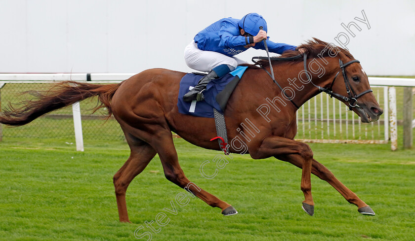 First-Sight-0002 
 FIRST SIGHT (William Buick) wins The Moulton Nurseries Handicap
Yarmouth 19 Sep 2023 - Pic Steven Cargill / Racingfotos.com