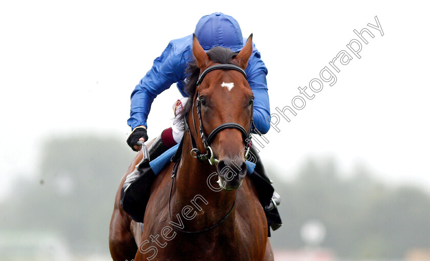 Encipher-0007 
 ENCIPHER (Oisin Murphy) wins The Spinal Injuries Association EBF Novice Stakes 
Newbury 19 Jul 2019 - Pic Steven Cargill / Racingfotos.com