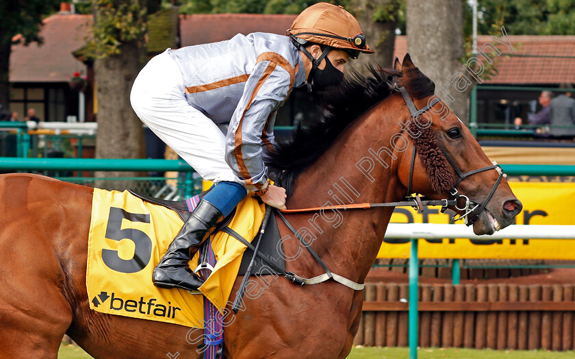 Summerghand-0002 
 SUMMERGHAND (William Buick)
Haydock 5 Sep 2020 - Pic Steven Cargill / Racingfotos.com