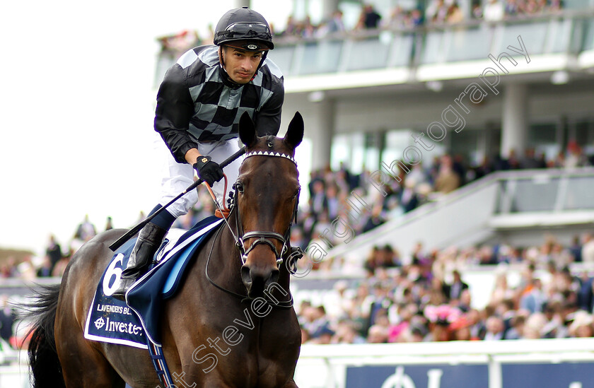 Lavender s-Blue-0001 
 LAVENDER'S BLUE (Silvestre DE Sousa)
Epsom 31 May 2019 - Pic Steven Cargill / Racingfotos.com