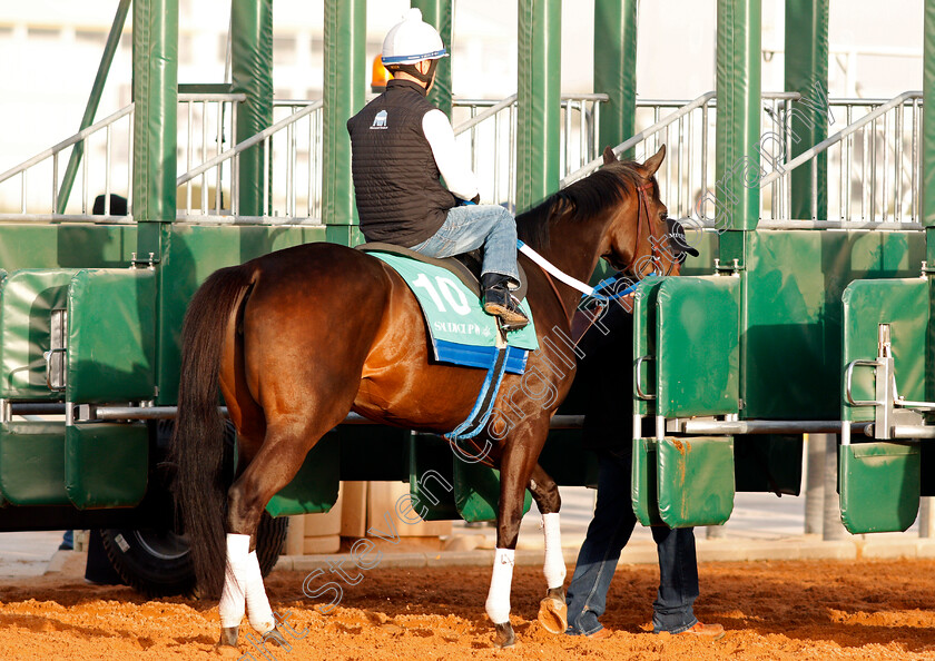 Midnight-Bisou-0004 
 MIDNIGHT BISOU preparing for The Saudi Cup
Riyadh Racetrack, Kingdom Of Saudi Arabia, 27 Feb 2020 - Pic Steven Cargill / Racingfotos.com