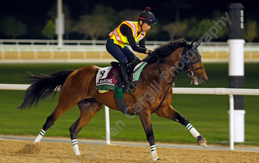 Iron-Barows-0001 
 IRON BAROWS training for The Dubai Gold Cup
Meydan Dubai 27 Mar 2024 - Pic Steven Cargill / Racingfotos.com