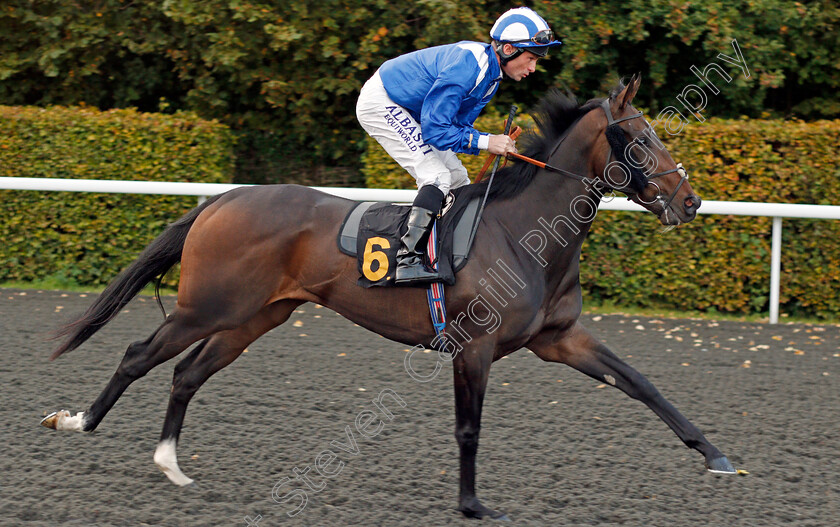 Mushahadaat-0002 
 MUSHAHADAAT (Dane O'Neill) winner of The 32Red.com British Stallion Studs EBF Maiden Fillies Stakes Div1 Kempton 4 Oct 2017 - Pic Steven Cargill / Racingfotos.com