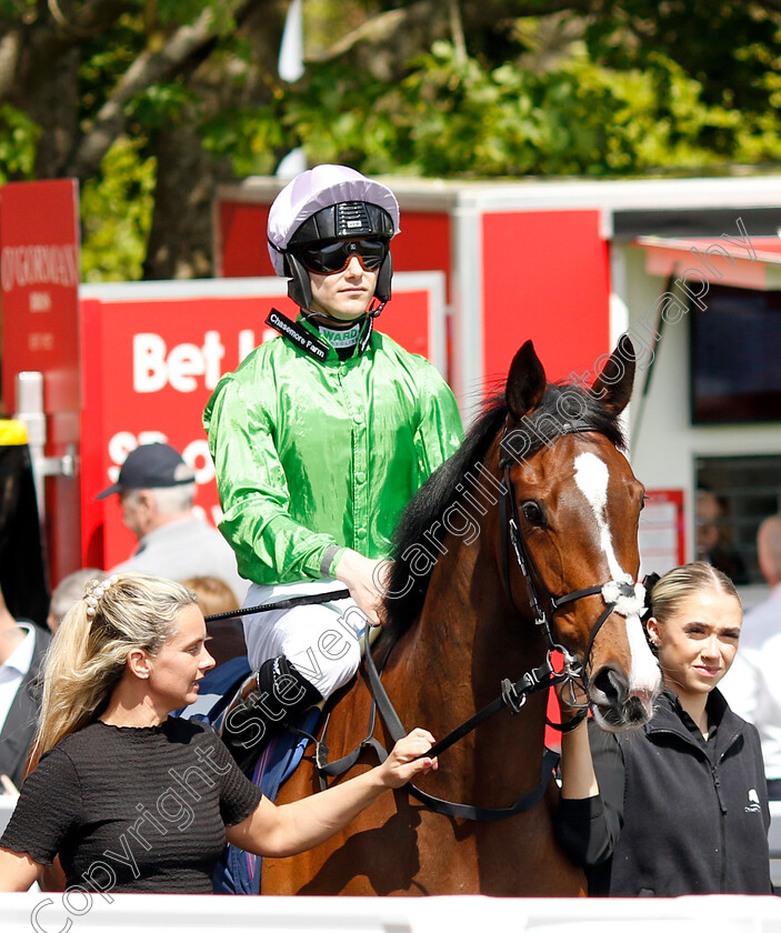 Kitteridge-0001 
 KITTERIDGE (Jason Hart)
Newmarket 5 May 2024 - Pic Steven Cargill / Racingfotos.com