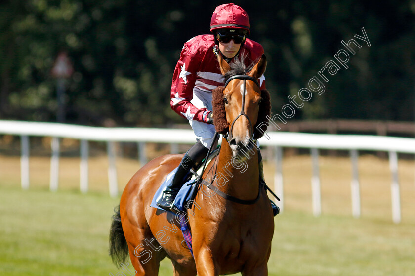 American-In-Paris-0001 
 AMERICAN IN PARIS (Ross Coakley)
Salisbury 11 Aug 2022 - Pic Steven Cargill / Racingfotos.com