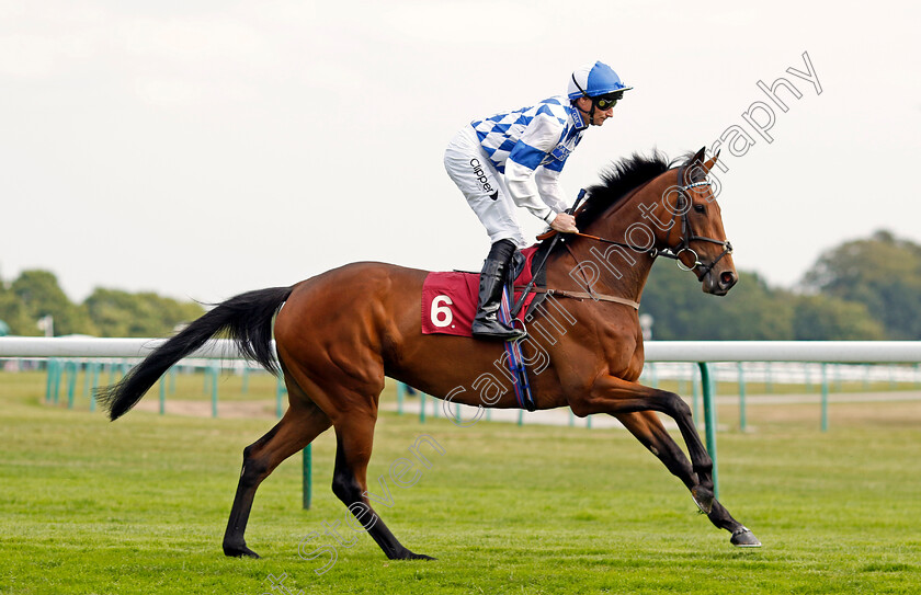 Teagarden-Jazz-0002 
 TEAGARDEN JAZZ (Daniel Tudhope)
Haydock 2 Sep 2022 - Pic Steven Cargill / Racingfotos.com