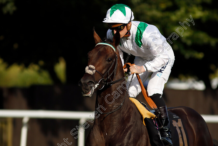 Spirit-Of-Summer-0003 
 SPIRIT OF SUMMER (Jason Watson)
Newmarket 9 Aug 2024 - Pic Steven Cargill / Racingfotos.com