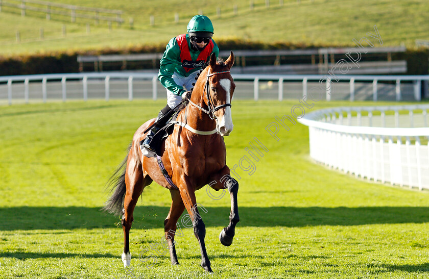 Downsman-0001 
 DOWNSMAN (Charlie Bennett)
Goodwood 11 Oct 2020 - Pic Steven Cargill / Racingfotos.com