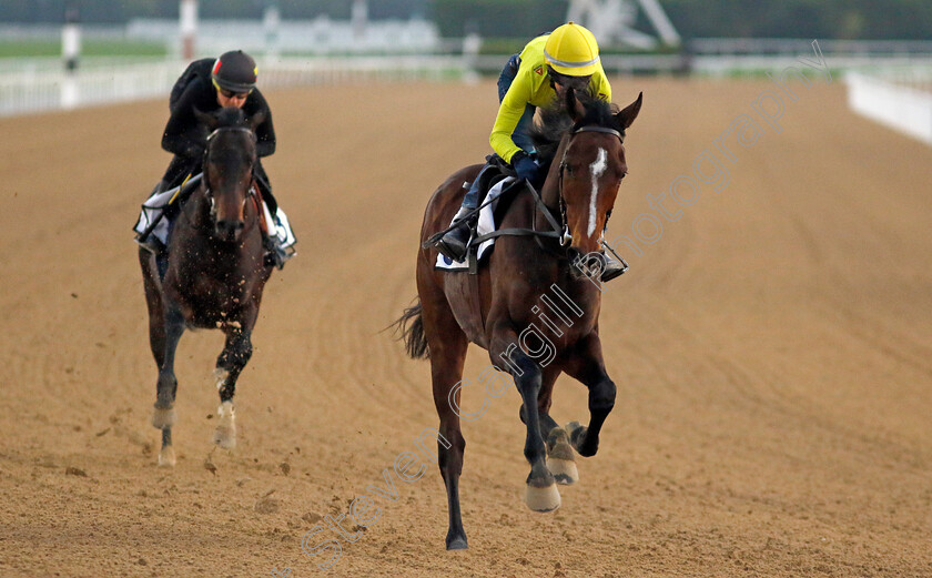 Age-Of-Baroque-0002 
 AGE OF BAROQUE training at the Dubai Racing Carnival
Meydan 22 Jan 2025 - Pic Steven Cargill / Racingfotos.com