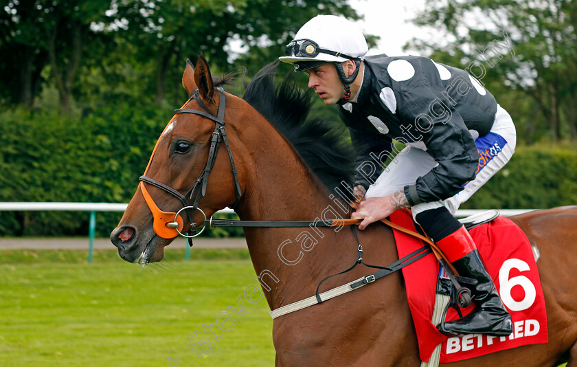 Mistral-Star-0001 
 MISTRAL STAR (Clifford Lee)
Haydock 8 Jun 2024 - Pic Steven Cargill / Racingfotos.com