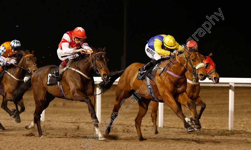 Cashel-0002 
 CASHEL (Tom Marquand) beats CLASSIC CHARM (left) in The Bet totescoop6 At totesport.com Handicap
Chelmsford 21 Feb 2019 - Pic Steven Cargill / Racingfotos.com