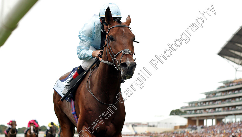 Genetics-0006 
 GENETICS (Andrasch Starke) wins The Dubai Duty Free Shergar Cup Challenge
Ascot 11 Aug 2018 - Pic Steven Cargill / Racingfotos.com