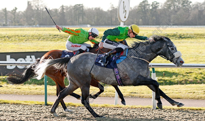 Tom s-Rock-0004 
 TOM'S ROCK (Daniel Muscutt) wins The Betway Casino Handicap Lingfield 16 Feb 2018 - Pic Steven Cargill / Racingfotos.com