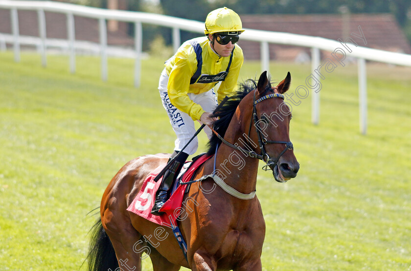 Hodler 
 HODLER (Pat Cosgrave)
Sandown 1 Jul 2022 - Pic Steven Cargill / Racingfotos.com