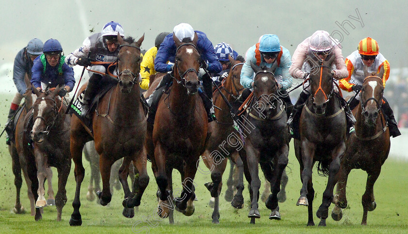 Fayez-0003 
 FAYEZ (left, Daniel Tudhope) beats SETTING SAIL (centre) and JAZEEL (right) in The Unibet Handicap
Goodwood 30 Jul 2019 - Pic Steven Cargill / Racingfotos.com