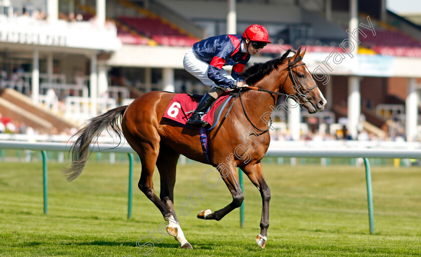 Orchestra-0001 
 ORCHESTRA (Oisin Orr)
Haydock 1 Sep 2022 - Pic Steven Cargill / Racingfotos.com