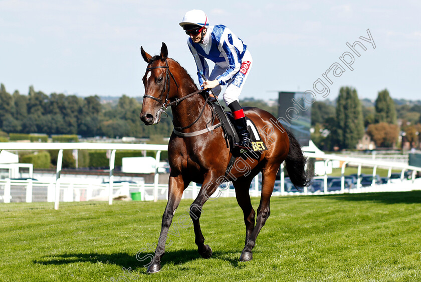 History-Writer-0001 
 HISTORY WRITER (Fran Berry)
Sandown 1 Sep 2018 - PIc Steven Cargill / Racingfotos.com