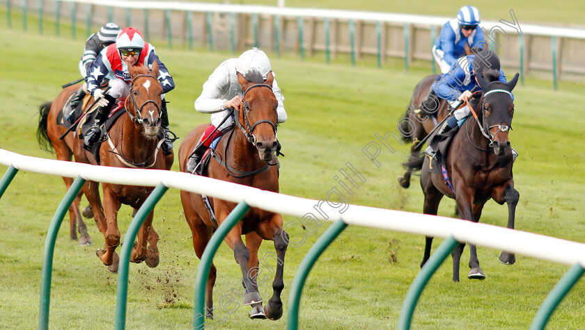 King-Leonidas-0002 
 KING LEONIDAS (Frankie Dettori) wins The Coates & Seely Blanc De Blancs Novice Stakes Div1
Newmarket 23 Oct 2019 - Pic Steven Cargill / Racingfotos.com