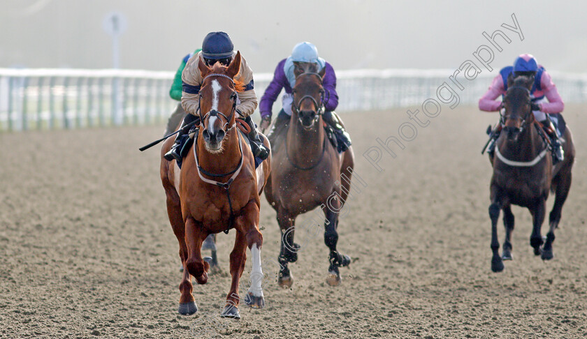 Going-Places-0006 
 GOING PLACES (Hollie Doyle) wins The Bombardier March To Your Own Drum Novice Stakes
Lingfield 9 Jan 2021 - Pic Steven Cargill / Racingfotos.com