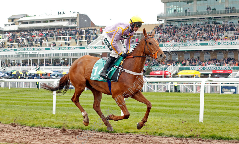 Luccia-0001 
 LUCCIA (Nico de Boinville)
Aintree 14 Apr 2023 - Pic Steven Cargill / Racingfotos.com