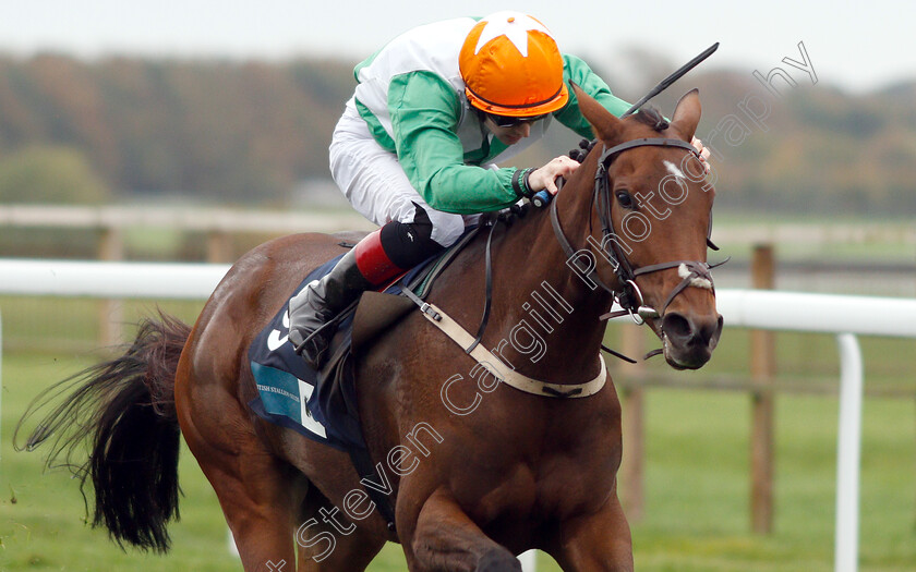 True-Self-0008 
 TRUE SELF (Colin Keane) wins The British Stallion Studs EBF Beckford Stakes
Bath 17 Oct 2018 - Pic Steven Cargill / Racingfotos.com