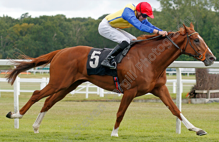 Rhythmic-Intent-0004 
 RHYTHMIC INTENT (James Doyle) wins The Frontier British EBF Maiden Stakes
Newbury 17 Aug 2019 - Pic Steven Cargill / Racingfotos.com