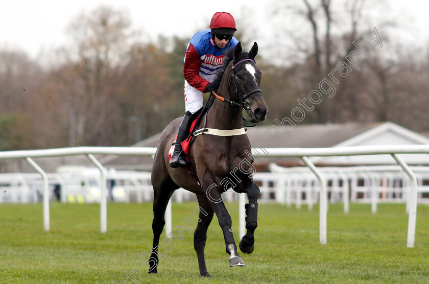 Tiffin-Top-0001 
 TIFFIN TOP (Wayne Hutchinson)
Kempton 12 Jan 2019 - Pic Steven Cargill / Racingfotos.com