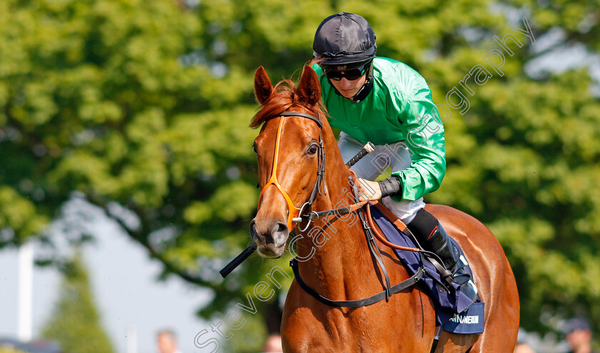 Anna-Nerium-0001 
 ANNA NERIUM (Tom Marquand) Newmarket 6 May 2018 - Pic Steven Cargill / Racingfotos.com