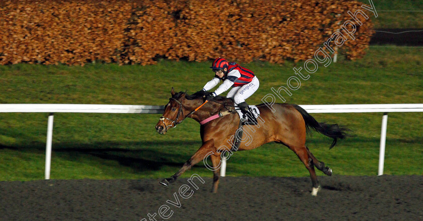 Mr-Zee-0002 
 MR ZEE (Marco Ghiani) wins The Follow @racingtv On Twitter Classified Stakes
Kempton 13 Jan 2021 - Pic Steven Cargill / Racingfotos.com