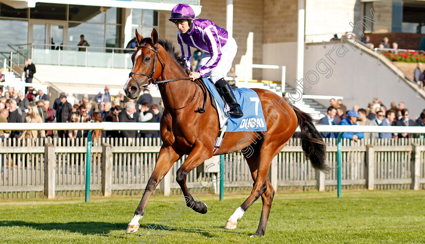 Merrily-0007 
 MERRILY (Wayne Lordan) winner of The Godolphin Lifetime Care Oh So Sharp Stakes
Newmarket 11 Oct 2024 - pic Steven Cargill / Racingfotos.com