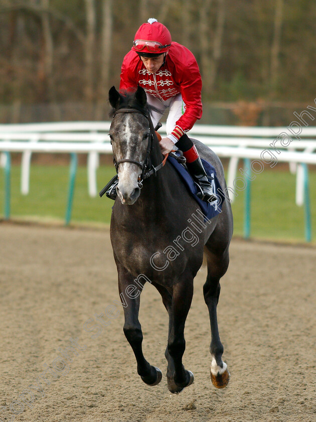 Little-Rock-0001 
 LITTLE ROCK (Shane Kelly)
Lingfield 25 Jan 2019 - Pic Steven Cargill / Racingfotos.com