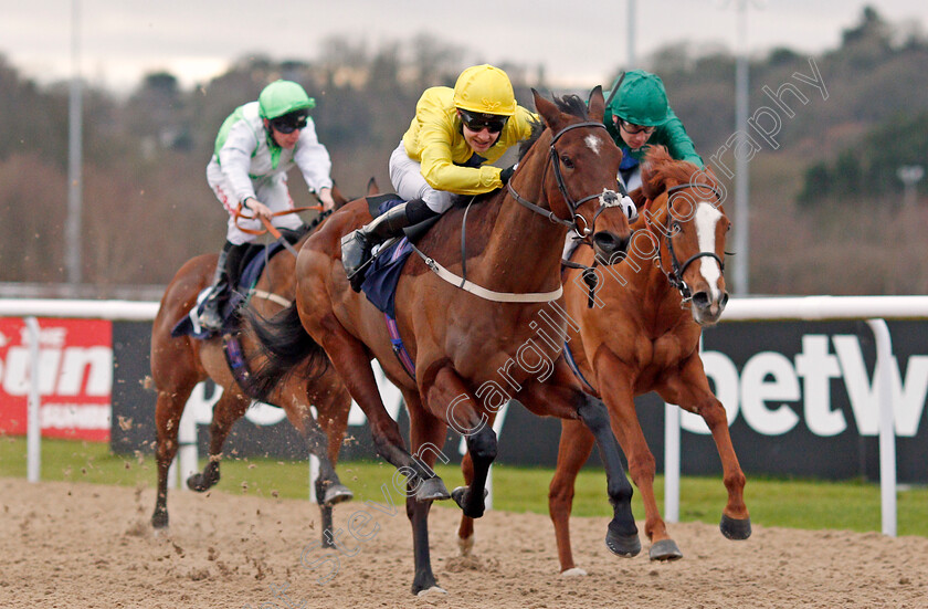 Summer-Icon-0004 
 SUMMER ICON (Charles Bishop) wins The 32Red.com Fillies Conditions Stakes Wolverhampton 4 Jan 2017 - Pic Steven Cargill / Racingfotos.com