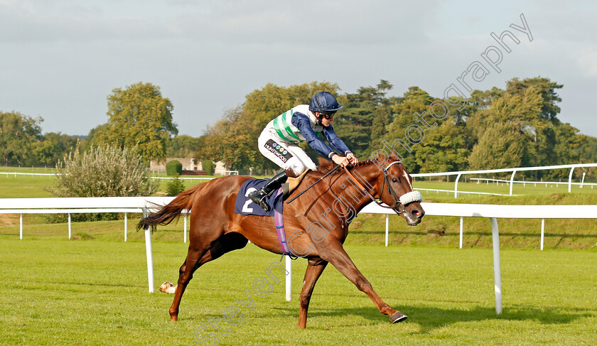 Meyandi-0002 
 MEYANDI (Joshua Bryan) wins The Daily Racing Specials At 188bet Apprentice Handicap Chepstow 6 Sep 2017 - Pic Steven Cargill / Racingfotos.com