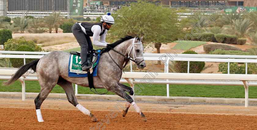 Saudi-Crown-0003 
 SAUDI CROWN training for The Saudi Cup
King Abdulaziz Racetrack, Saudi Arabia 22 Feb 2024 - Pic Steven Cargill / Racingfotos.com