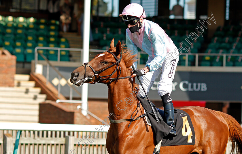 Naflah-0001 
 NAFLAH (Kieran Shoemark)
Newmarket 19 Sep 2020 - Pic Steven Cargill / Racingfotos.com