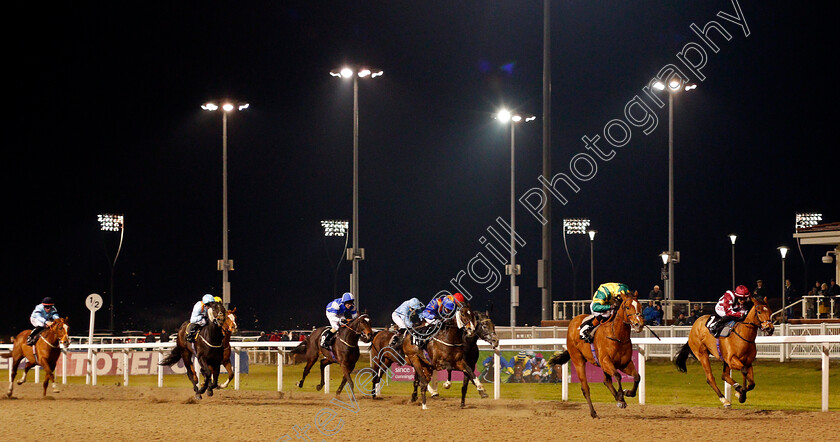 Ice-Royal-0001 
 ICE ROYAL (2nd right, Dougie Costello) wins The Bet totetrifecta At betfred.com Handicap Chelmsford 1 Dec 2017 - Pic Steven Cargill / Racingfotos.com