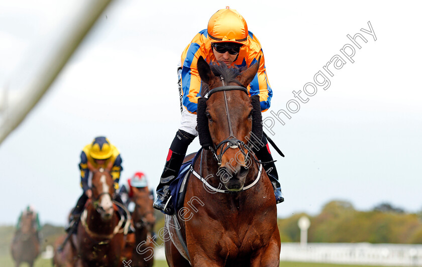 Torcedor-0007 
 TORCEDOR (Colm O'Donoghue) wins The Longines Sagaro Stakes Ascot 2 May 2018 - Pic Steven Cargill / Racingfotos.com