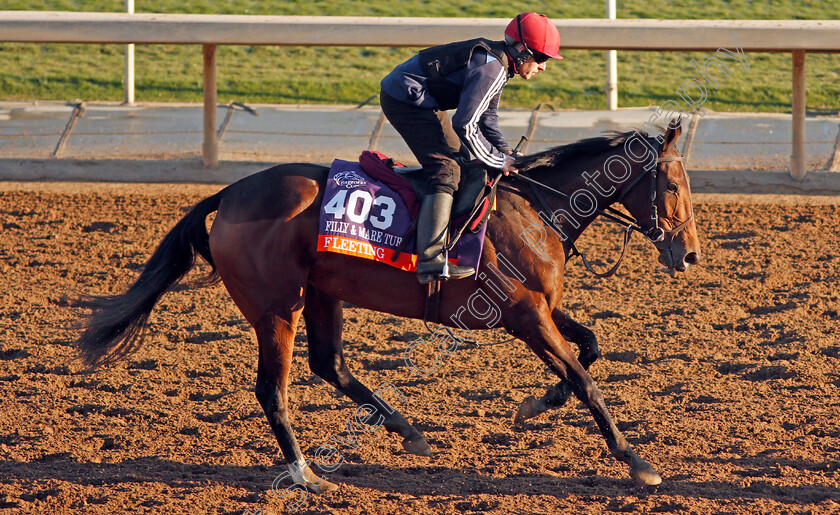 Fleeting-0003 
 FLEETING training for The Breeders' Cup Filly & Mare Turf
Santa Anita USA 31 Oct 2019 - Pic Steven Cargill / Racingfotos.com