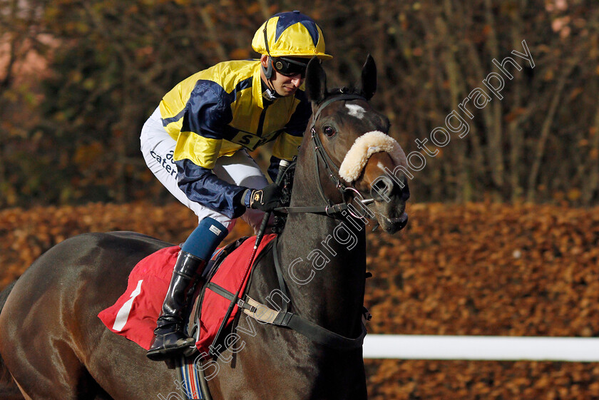 Ayr-Harbour-0002 
 AYR HARBOUR (Alistair Rawlinson)
Kempton 4 Dec 2019 - Pic Steven Cargill / Racingfotos.com