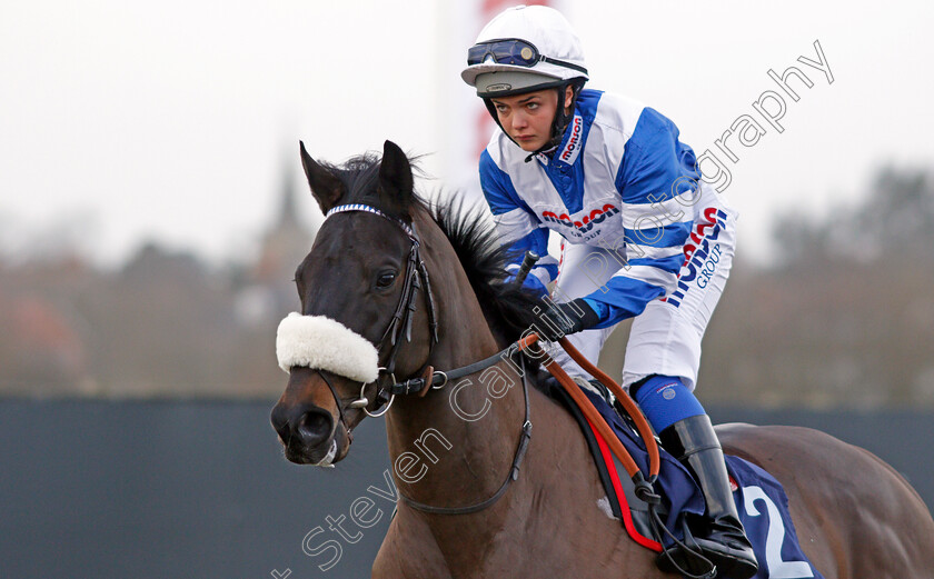 Zubayr-0004 
 ZUBAYR (Megan Nicholls) Lingfield 30 Dec 2017 - Pic Steven Cargill / Racingfotos.com