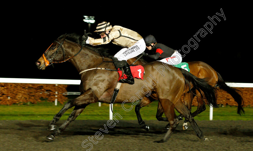 Doc-Sportello-0002 
 DOC SPORTELLO (Robert Winston) wins The 32Red.com Handicap
Kempton 16 Jan 2019 - Pic Steven Cargill / Racingfotos.com