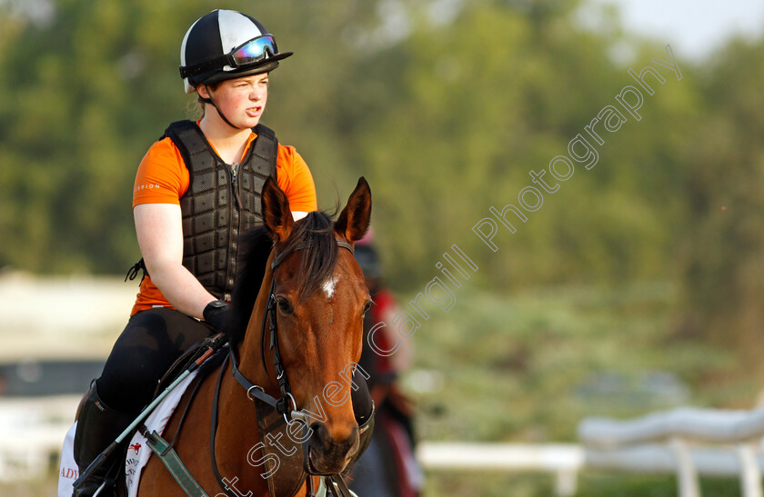 Lady-Wannabe-0001 
 LADY WANNABE training for the Bahrain International Trophy
Rashid Equestrian & Horseracing Club, Bahrain, 18 Nov 2020