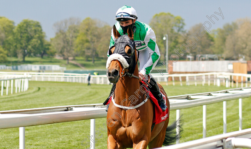 Muscika-0001 
 MUSCIKA (Shane Gray)
York 13 May 2021 - Pic Steven Cargill / Racingfotos.com