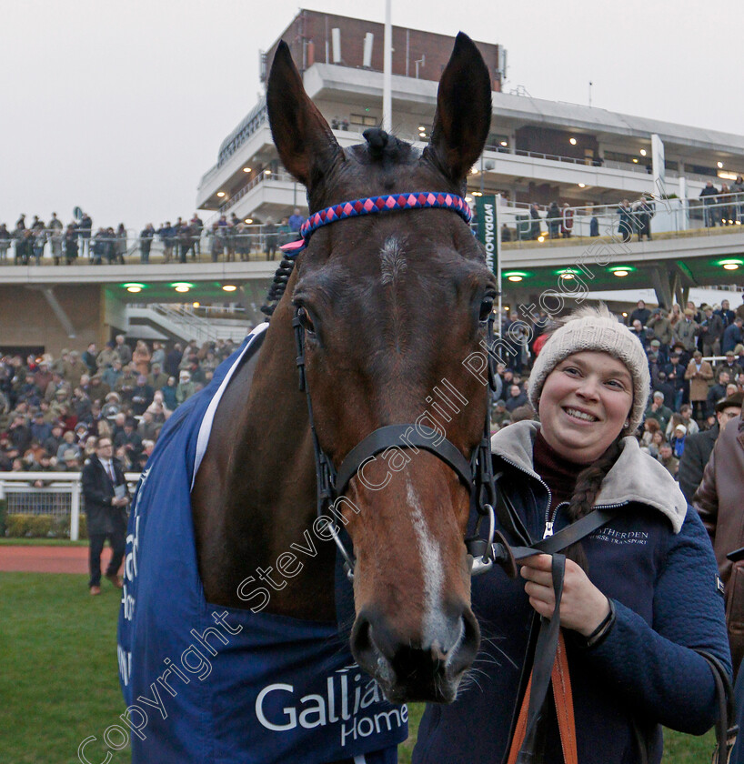 Paisley-Park-0010 
 PAISLEY PARK after the galliardhomes.com Cleeve Hurdle
Cheltenham 25 Jan 2020 - Pic Steven Cargill / Racingfotos.com