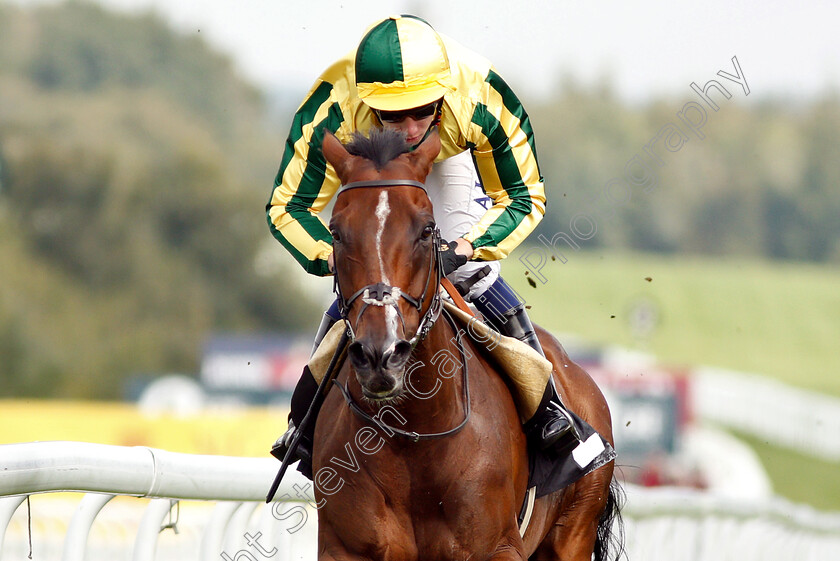 Esprit-De-Baileys-0002 
 ESPRIT DE BAILEYS (Oisin Murphy) wins The ROA Racing Post Owners Jackpot Handicap
Goodwood 4 Sep 2018 - Pic Steven Cargill / Racingfotos.com