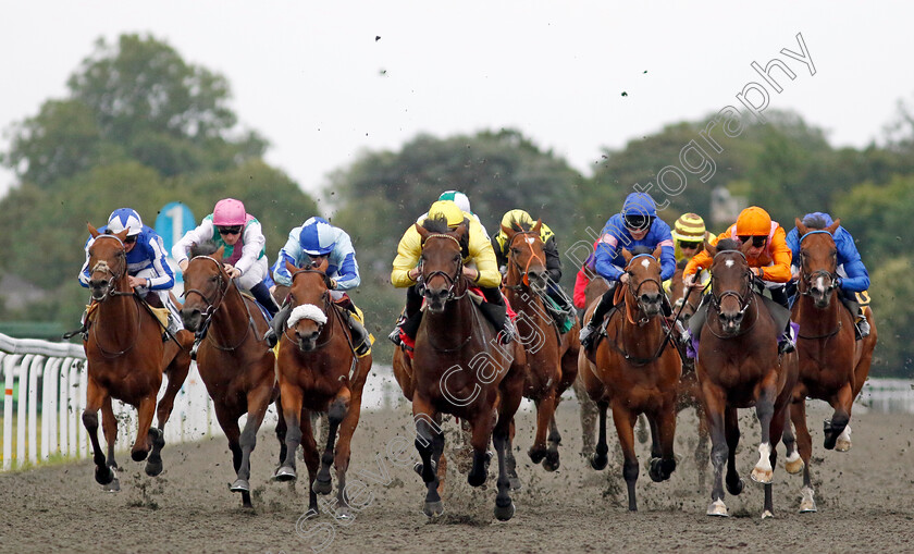 Yaroogh-0006 
 YAROOGH (Tom Marquand) wins The Unibet British Stallion Studs EBF Novice Stakes
Kempton 7 Aug 2024 - Pic Steven Cargill / Racingfotos.com